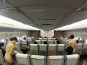 Asistente de vuelo desnudo japonés